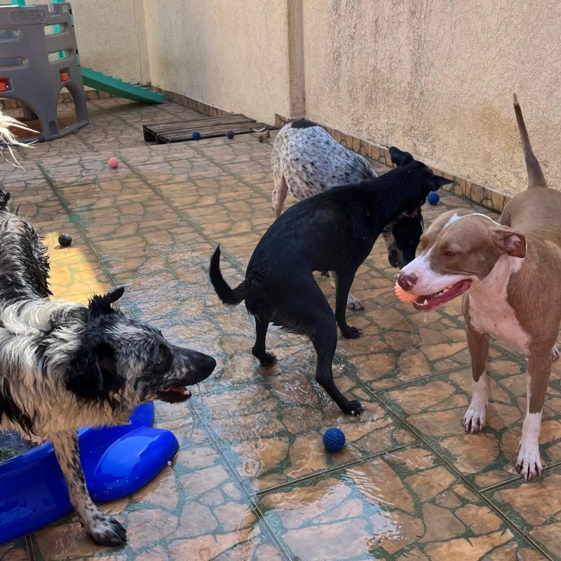 WhatsApp Image 2025-08-22 at 14.05.31