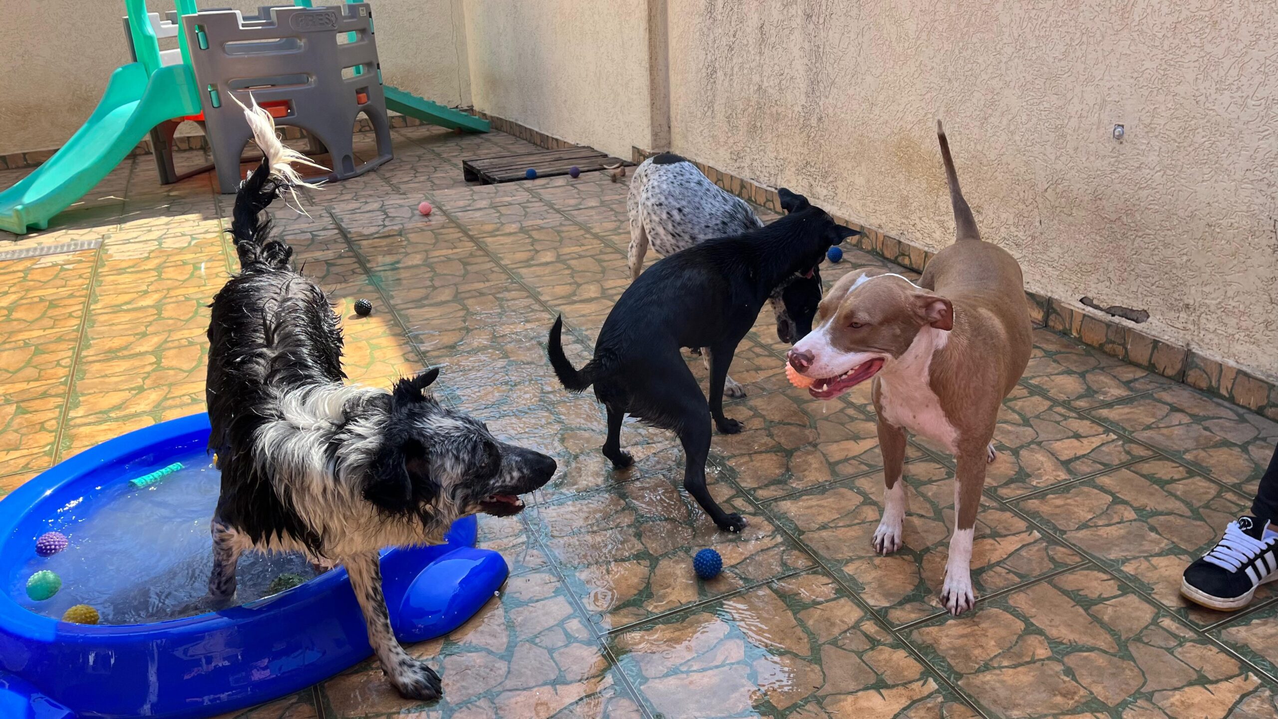 WhatsApp Image 2025-08-22 at 14.05.31